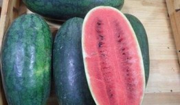 免费黑料吃瓜,免费黑料背后的真相与吃瓜指南