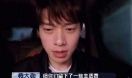 王大锤爆料男艺人视频,真相背后引人深思